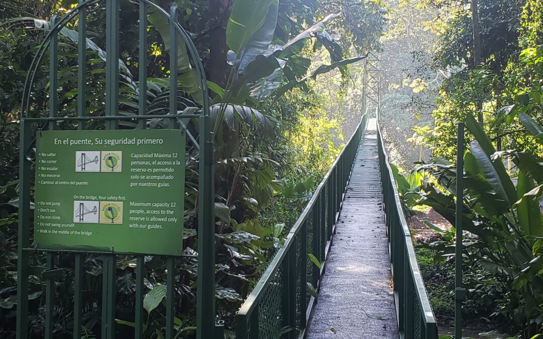 My Trip to Selva Verde Lodge, Costa Rica