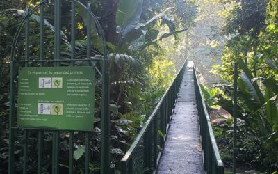My Trip to Selva Verde Lodge, Costa Rica