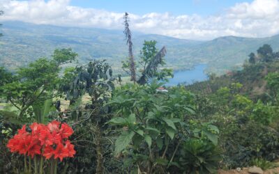 Orosi, Costa Rica March 2026